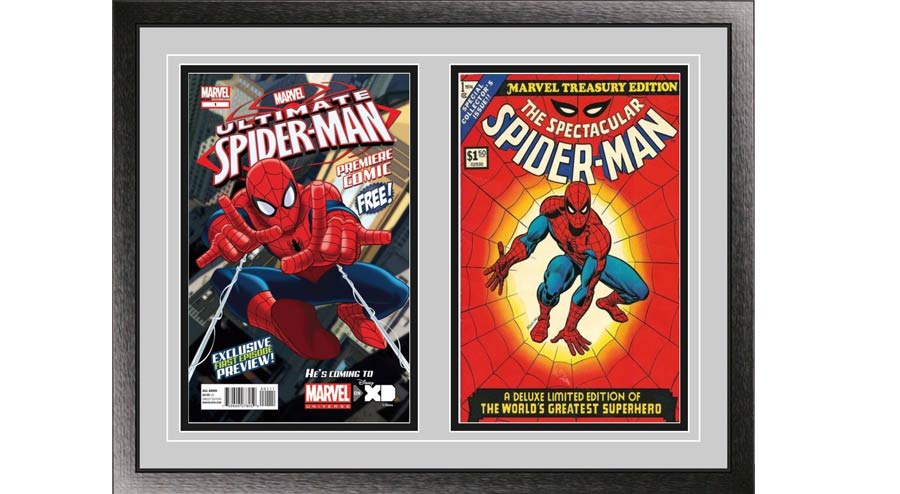 Double Comic Book Black Wood Glass Wall Showcase Frame 